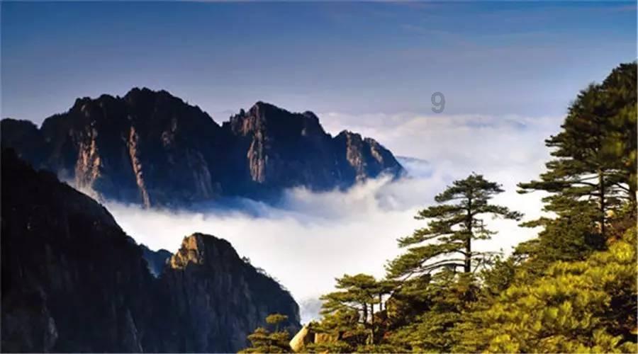 重大喜讯!东方雨虹砂粉科技集团荣获“高新技术企业”认证,彰显科创实力!