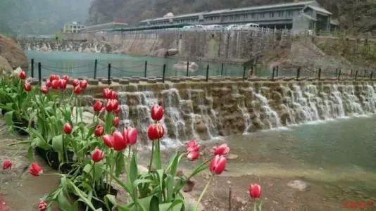 张继军:建设“强县富民”的现代化新城口