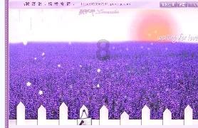 逗小猴开心系列194