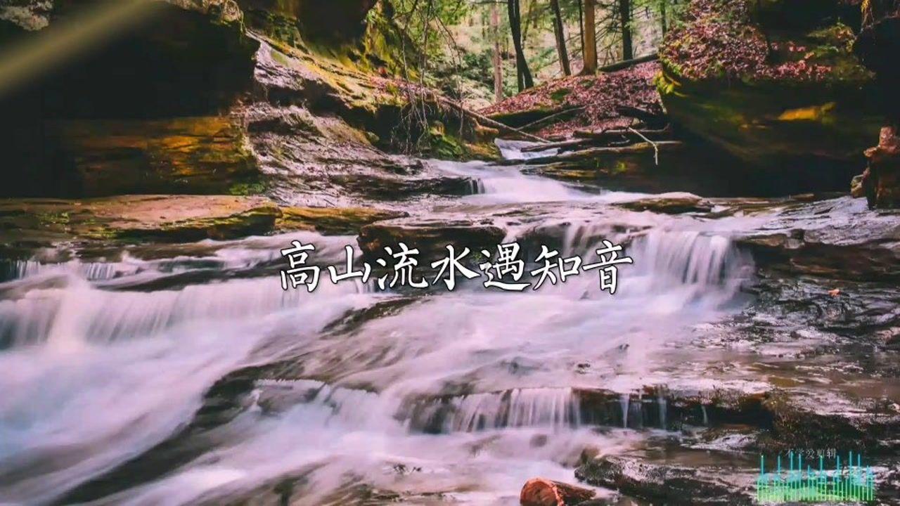 “翠成馨园 便民办税”主题党日活动