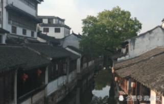 大家峰度|李白玲:从西北花鸟到西南花鸟,一个女画家的南北两极