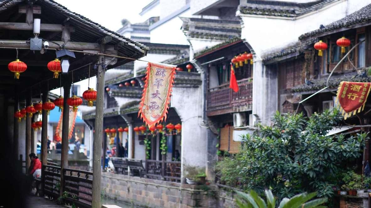 一场持续1780天的实验:8只老鼠,真的预知了人类的未来?